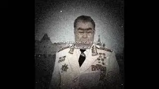 Исторические мемы, Речь Брежнева. (NewТикток мем)