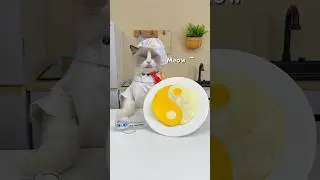 Puff’s in the kitchen blending food hacks with art!  🐾 