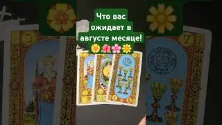 Что вас ожидает в августе месяце?#гаданиетаро #тароонлайн #тарорасклад #mara #таро #tarot #таролог
