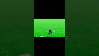 JACK DAVIDPUTRA 2000CC BIKE SPEED☠️❓#shortsfeed #trending