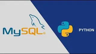 Course Python In Arabic | Mysql and Python | 6 Insert into table with python