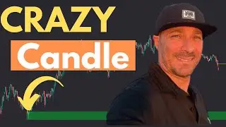 How to Day Trade THIS Specific Candle Patterns (Hammer Candlestick)