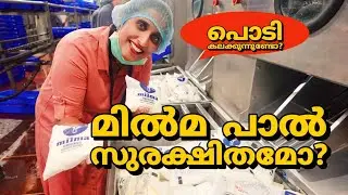 മിൽമ പാൽ സുരക്ഷിതമാണോ ? milma milk processing/milma milk processing factory in Kerala/@LeafyKerala