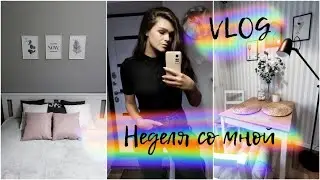 #VLOG 187/Новинки декора для дома/Покупки в Фамилии/Покупки Фикс Прайс/ занимаюсь в зале/Шоппинн