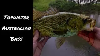 Topwater Australian Bass into the Night | Lure Selection and Techniques