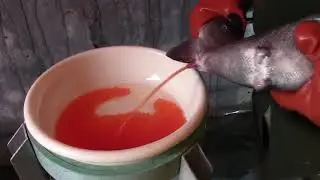 Невероятные Моменты, Снятые на Камеру