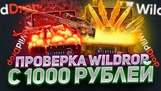 ПРОВЕРКА WILDDROP С 1000 РУБЛЕЙ! ВЫБИЛ СКИН ДЛЯ КРАСНОГО СЕТА? ПРОМОКОД +40% CASEZIMA