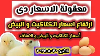 أسعار الكتاكيت البيضاء اليوم في الشركات / أسعار البيض و الاعلاف