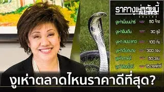 การเมืองผันผวน! จับตาราคา 