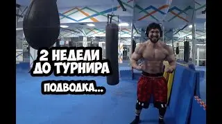 ПОДГОТОВКА БОДИБИЛДИНГ - 2 НЕДЕЛИ ДО ТУРНИРА, МАСТЕРОН | Максим Горносталь