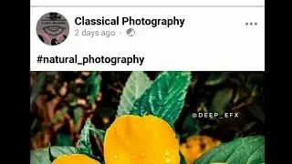 My Facebook page . Please support . Natural and wildlife photography.