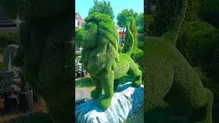 Сочинский Лев