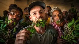 The STRANGE PLANT everyone is eating in Ethiopia