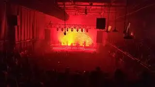 Jungle - Heavy, California