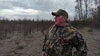 И всё же сезон закрыл трофеем! Охота на вальдшнепа 2022 04 11