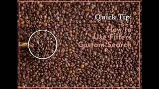 How to Use Filters Custom Search in MS Project