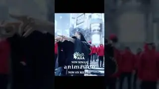 AliA「animation」