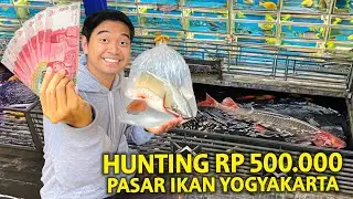 HUNTING RP 500.000 DI PASAR IKAN TERBESAR YOGYAKARTA! DAPET IKAN PREDATOR KALIMANTAN?!
