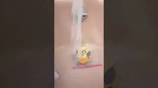 fun in the tub