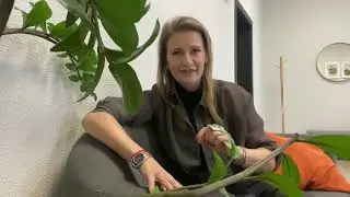 О новом продукте: что это будет❓