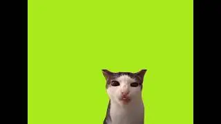 Грызущая кошка фон