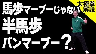 あの馬歩マーブーに半馬歩があるって知ってる？その意味とは？深掘り【太極拳レッスン】面白い！初心者からベテランまで誰でも気軽にできる中村げんこうの太極拳、簡化24式太極拳、健康、養生、瞑想・陰陽・癒し