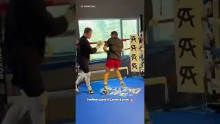 Canelo Alvarez & Teofimo Lopez😮‍💨 #caneloalvarez #canelo #teofimo #teofimolopez #boxing #boxeo