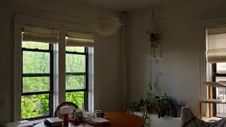 Things I love | living alone in brooklyn small studio apartment 