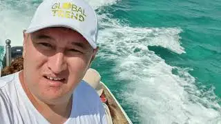 Global trend company МЛМ индустрия