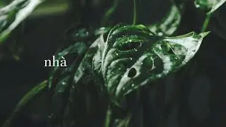 nhà