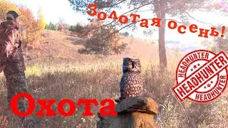 Охота на зайца... как всегда в моем репертуаре, это становится забавным. Перезалив видео
