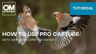 Tutorial: How to use Pro Capture on the OM SYSTEM cameras