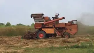 СК 5 М1 Roman