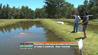 Piscícultura: Manejo y cultivo de peces autóctonos del Río Uruguay - Juan Pablo Hegglin