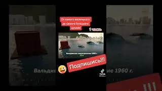 Цунами из тик тока