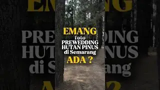 prewedd outdoor di pinusia park... bisa to kuy lah #fotostudiosemarang #omajib2024 #fotografer