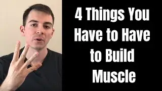 The 4 Factors You Must Have in Place to Optimize Muscle Gains