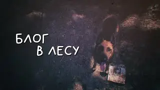 БЛОГ В ЛЕСУ.MP4