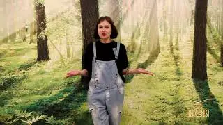 ХАЙ ХИЛС ДЭНС (High Heels dance). Софи Жогно, педагог-хореограф. Студия Счастья. г. Буча