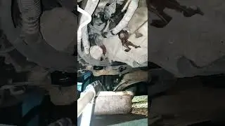 Ford transit mk8 oil filter and oil change.