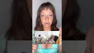 ЕСЛИ ВАМ НЕ ХВАТАЕТ ЭНЕРГИИ #психология #отношения #любовь