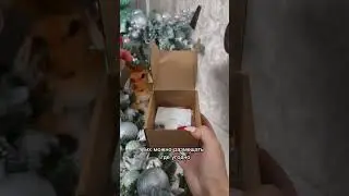 #шорц