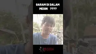 SALT IN THE ENGINE