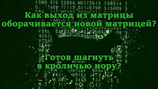 Лила-11 новая игра самопознания и самоосвобождения. Тайный выход из симуляции жизни.