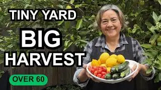 Tiny Front Yard, BIG Harvest: My Best Edible Landscaping Tips