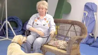 How to Make Your Puppy Stop Jumping on the Couch