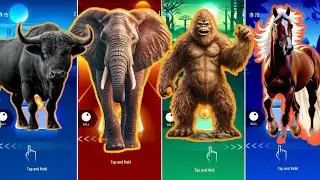 🦖 The Buffalo 🦬 vs The Mammoth 🦣 vs The Monkey 🦍 vs The Horse 🐎 | Coffin Dance 🪩
