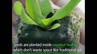 Futurism – Lufa Farms Urban Rooftop Farming