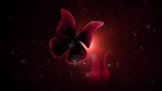 Butterflies logo animation Dark by rad FX on Envato Elements