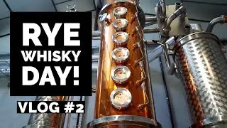 Rye whisky distillation | Distillery Life #02 | 